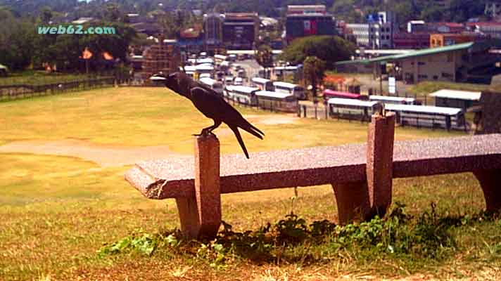 Cricket Stadium in Galle, Sri Lanka