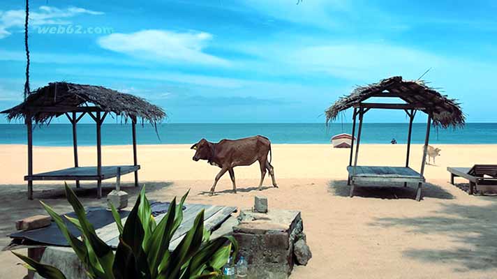 Trincomalee Beach