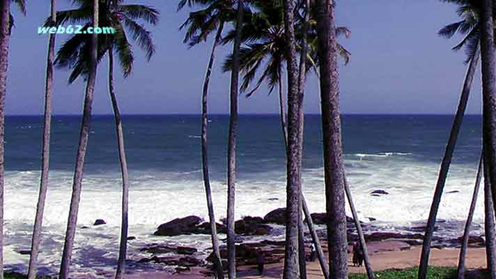 photo Mirissa waves in Sri Lanka