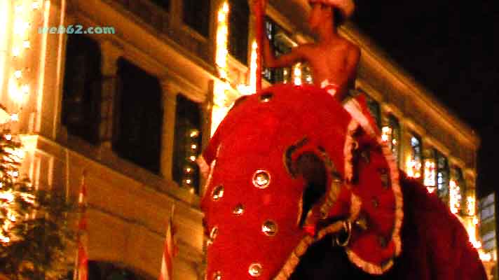 Kandy Perehara Elephants